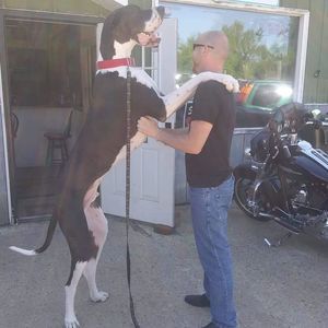 Meet your Posher, Eddie